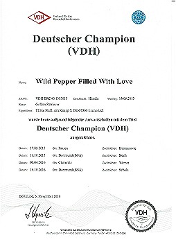 Deutscher Champion VDH