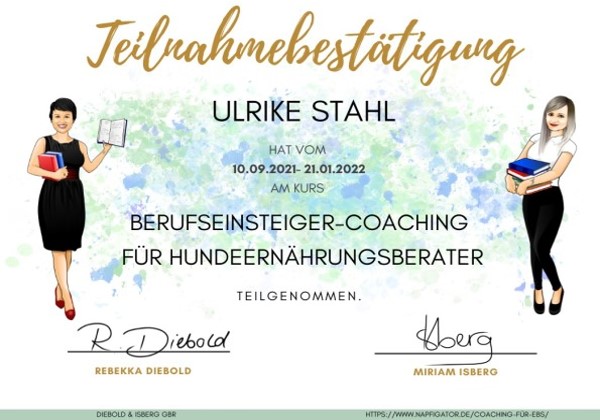 Berufseinsteiger-Coaching für Hundeernährungsberater