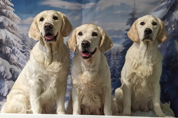 Lilly, Lola und Wickie
