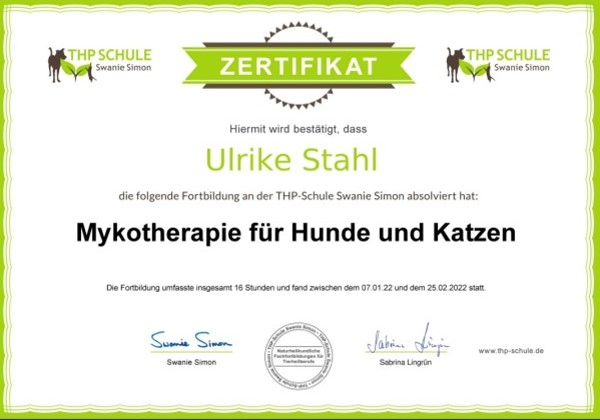 Mykotherapie für Hunde und Katzen