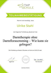 Darmtherapie